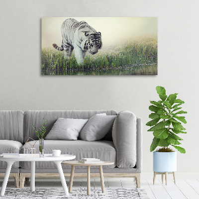 Canvas foto Witte tijger