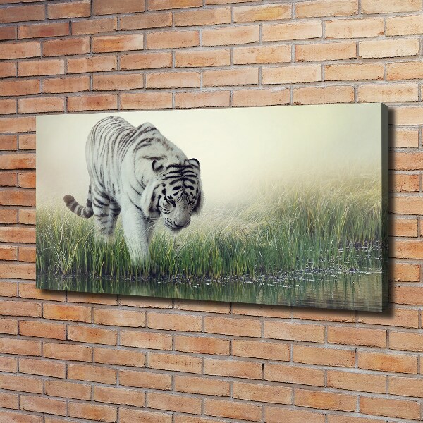 Canvas foto Witte tijger