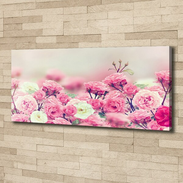 Schilderij op canvas Wilde rozenbloemen