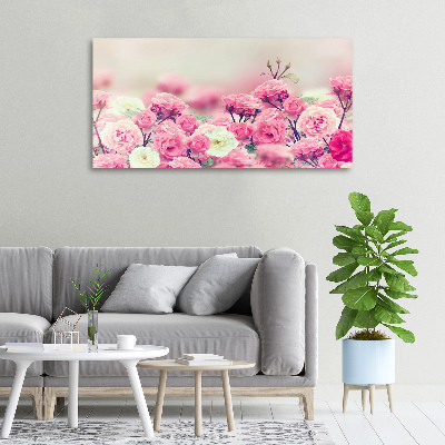 Schilderij op canvas Wilde rozenbloemen