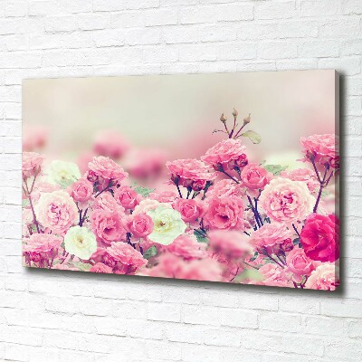 Schilderij op canvas Wilde rozenbloemen