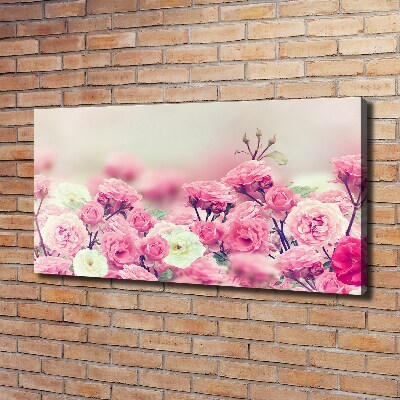 Schilderij op canvas Wilde rozenbloemen