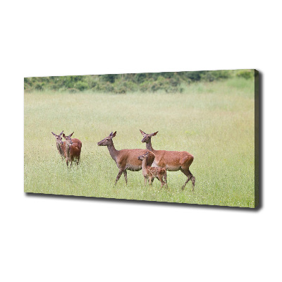 Canvas schilderij Ree met jongen