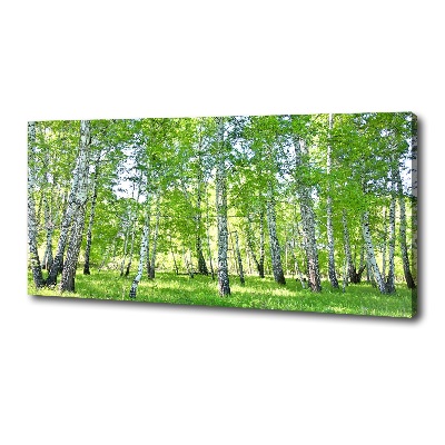 Foto canvas Berken