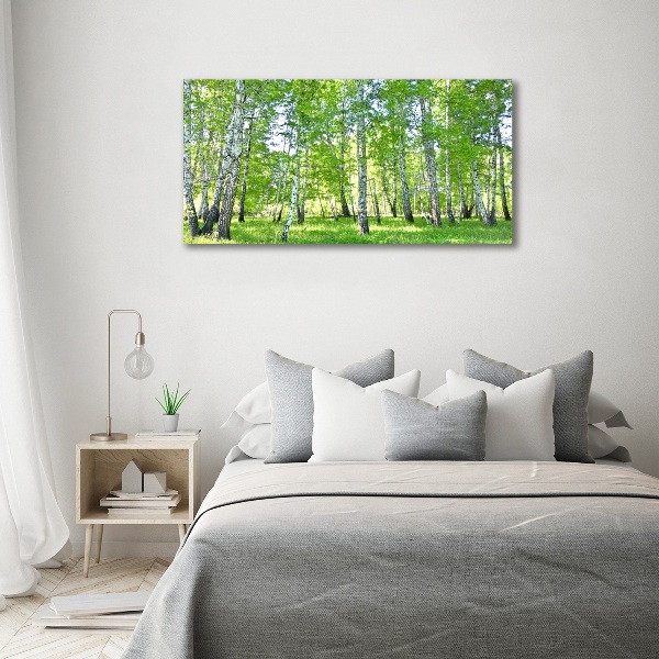 Foto canvas Berken