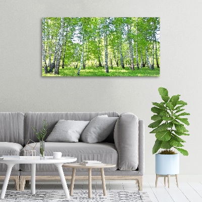 Foto canvas Berken