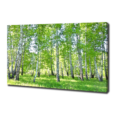 Foto canvas Berken