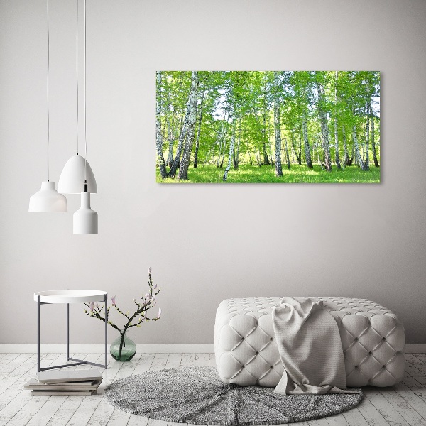 Foto canvas Berken