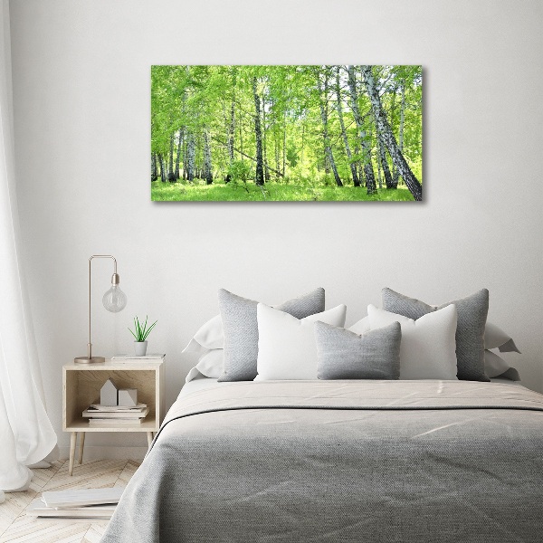 Foto op canvas Berkenbos