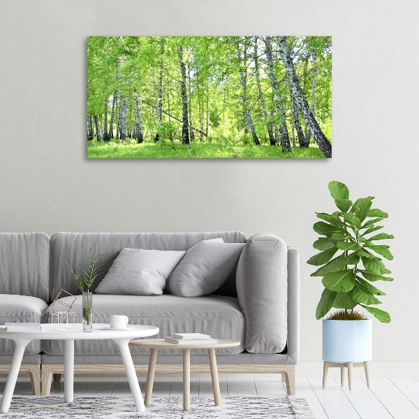 Foto op canvas Berkenbos