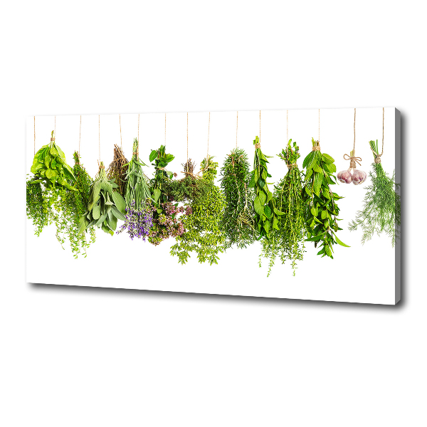 Foto op canvas Kruiden aan een touwtje