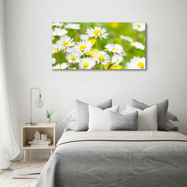 Schilderij op canvas Madeliefjes