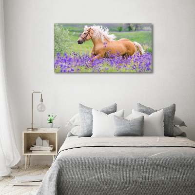 Schilderij op canvas Een paard in een lavendelveld