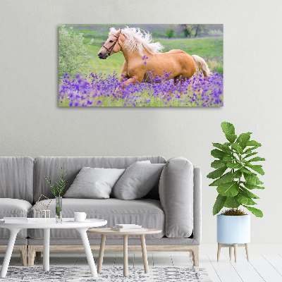 Schilderij op canvas Een paard in een lavendelveld