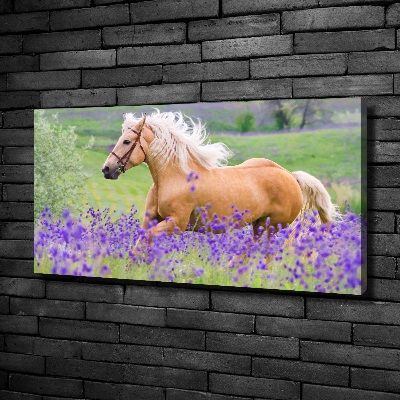 Schilderij op canvas Een paard in een lavendelveld
