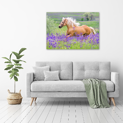 Schilderij op canvas Een paard in een lavendelveld
