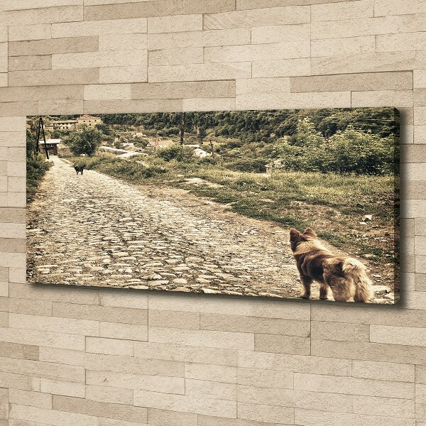 Foto canvas Twee honden op een heuvel