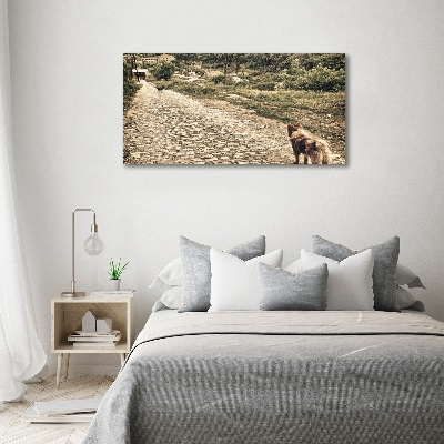 Foto canvas Twee honden op een heuvel