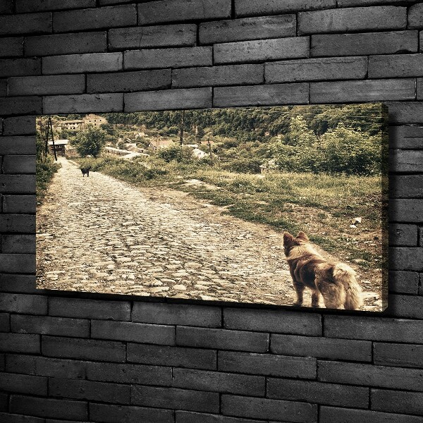 Foto canvas Twee honden op een heuvel