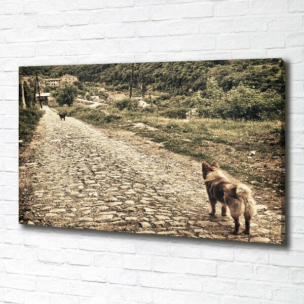 Foto canvas Twee honden op een heuvel