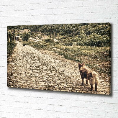 Foto canvas Twee honden op een heuvel