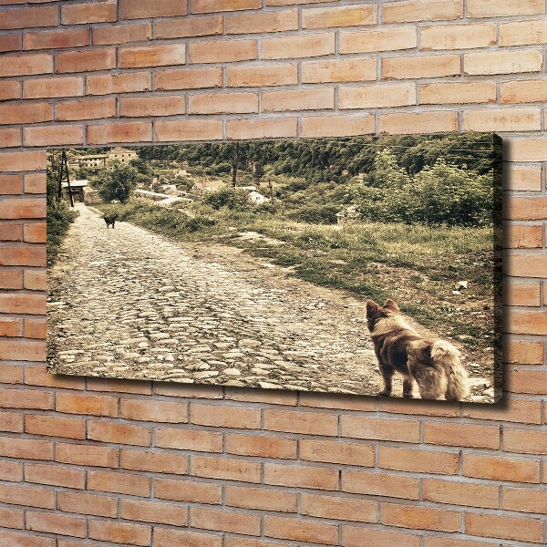 Foto canvas Twee honden op een heuvel