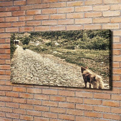 Foto canvas Twee honden op een heuvel