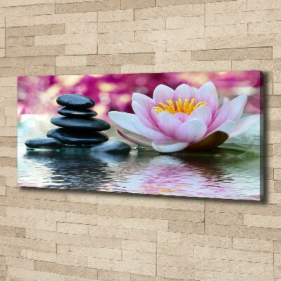 Canvas foto Waterlelie