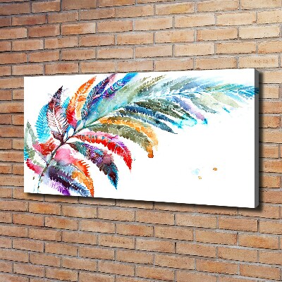 Canvas foto Kleurrijke veer