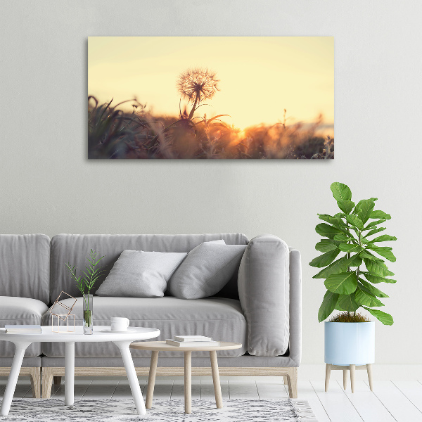 Foto canvas Paardebloem