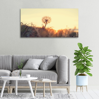 Foto canvas Paardebloem