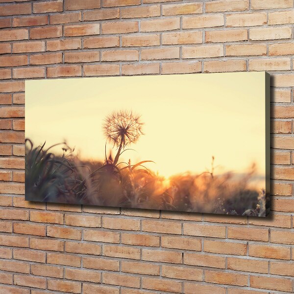 Foto canvas Paardebloem