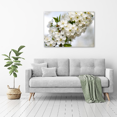 Foto op canvas Kersenbloesems