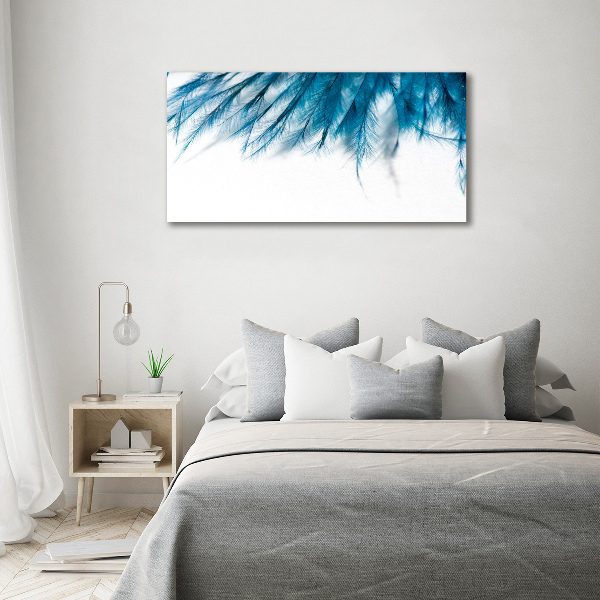Foto op canvas Blauwe veren