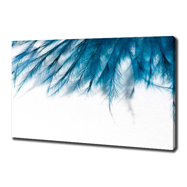Foto op canvas Blauwe veren