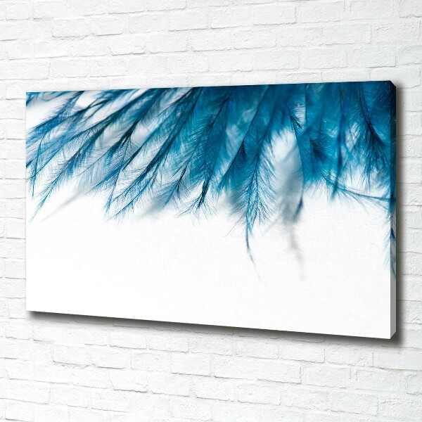 Foto op canvas Blauwe veren