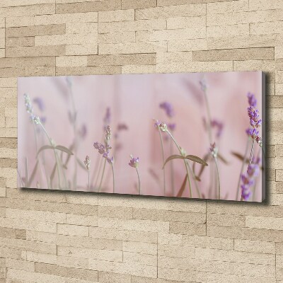 Schilderij op canvas Lavendel