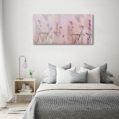 Schilderij op canvas Lavendel