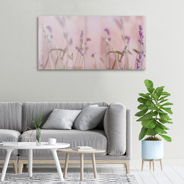 Schilderij op canvas Lavendel