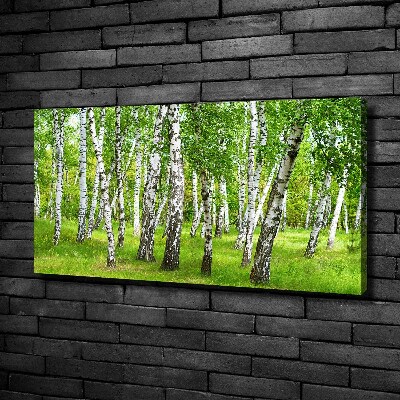 Foto op canvas Berkenbos