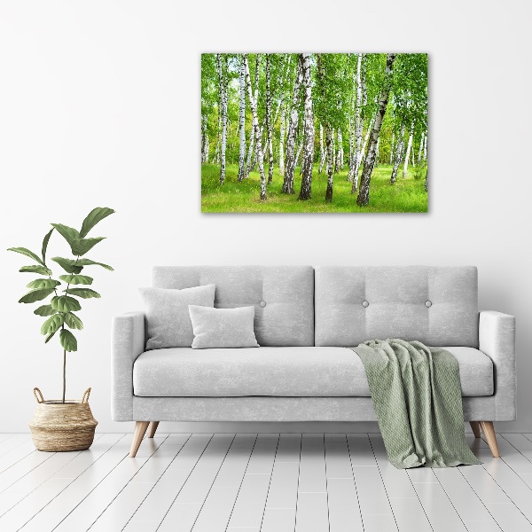 Foto op canvas Berkenbos