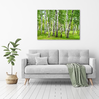 Foto op canvas Berkenbos