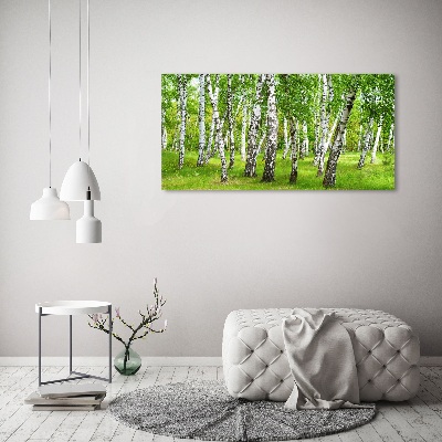 Foto op canvas Berkenbos