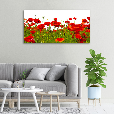 Foto canvas Klaprozen