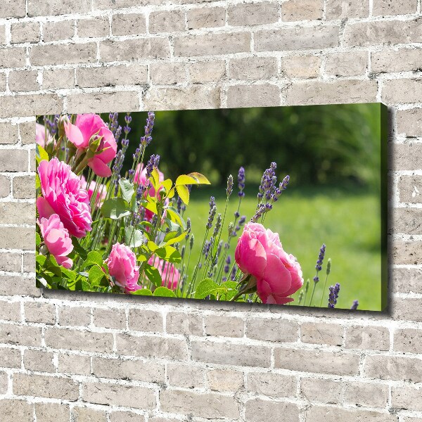 Foto op canvas Doorn
