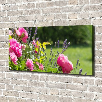 Foto op canvas Doorn