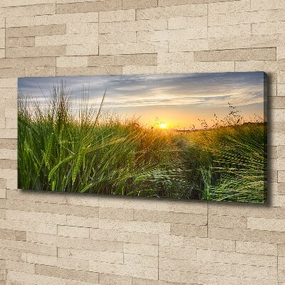Canvas foto Tarweveld