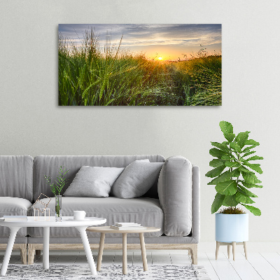 Canvas foto Tarweveld