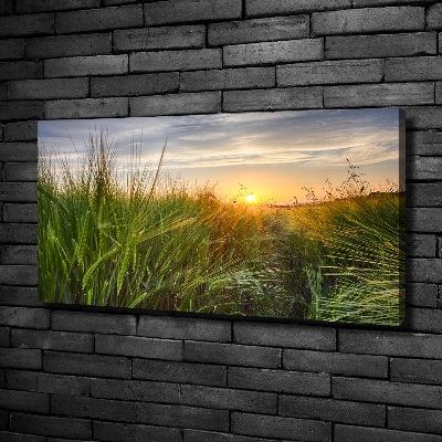 Canvas foto Tarweveld