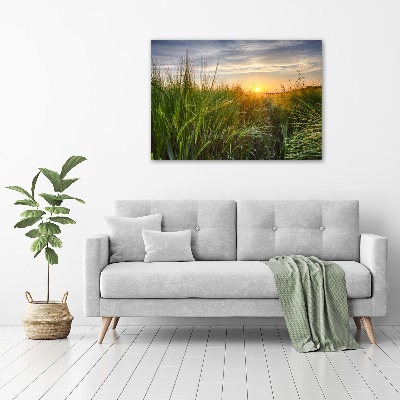 Canvas foto Tarweveld